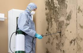 Best Forensic Mold Investigation  in Souderton, PA